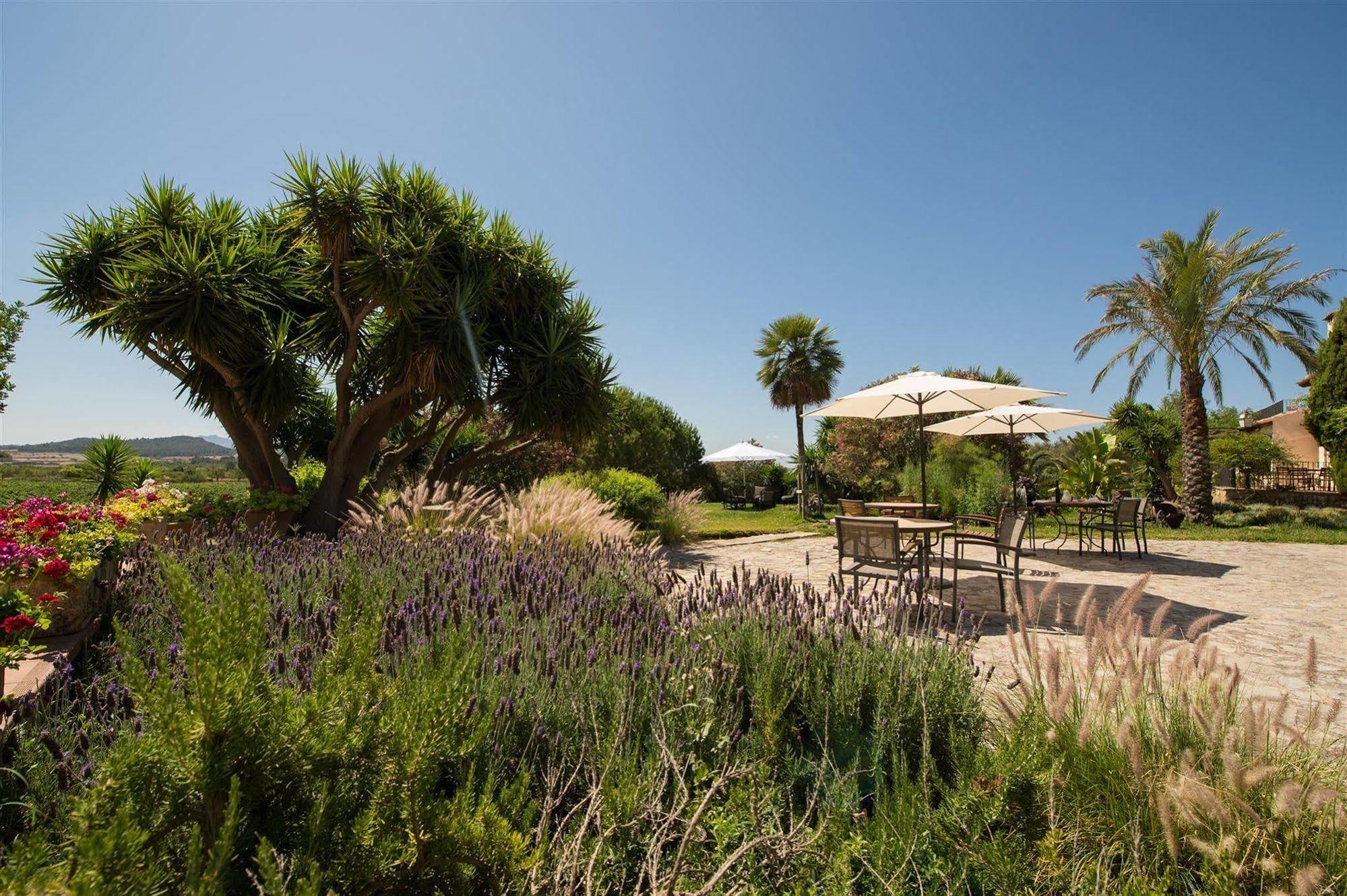 Ecoagroturismo Feliu Hotell