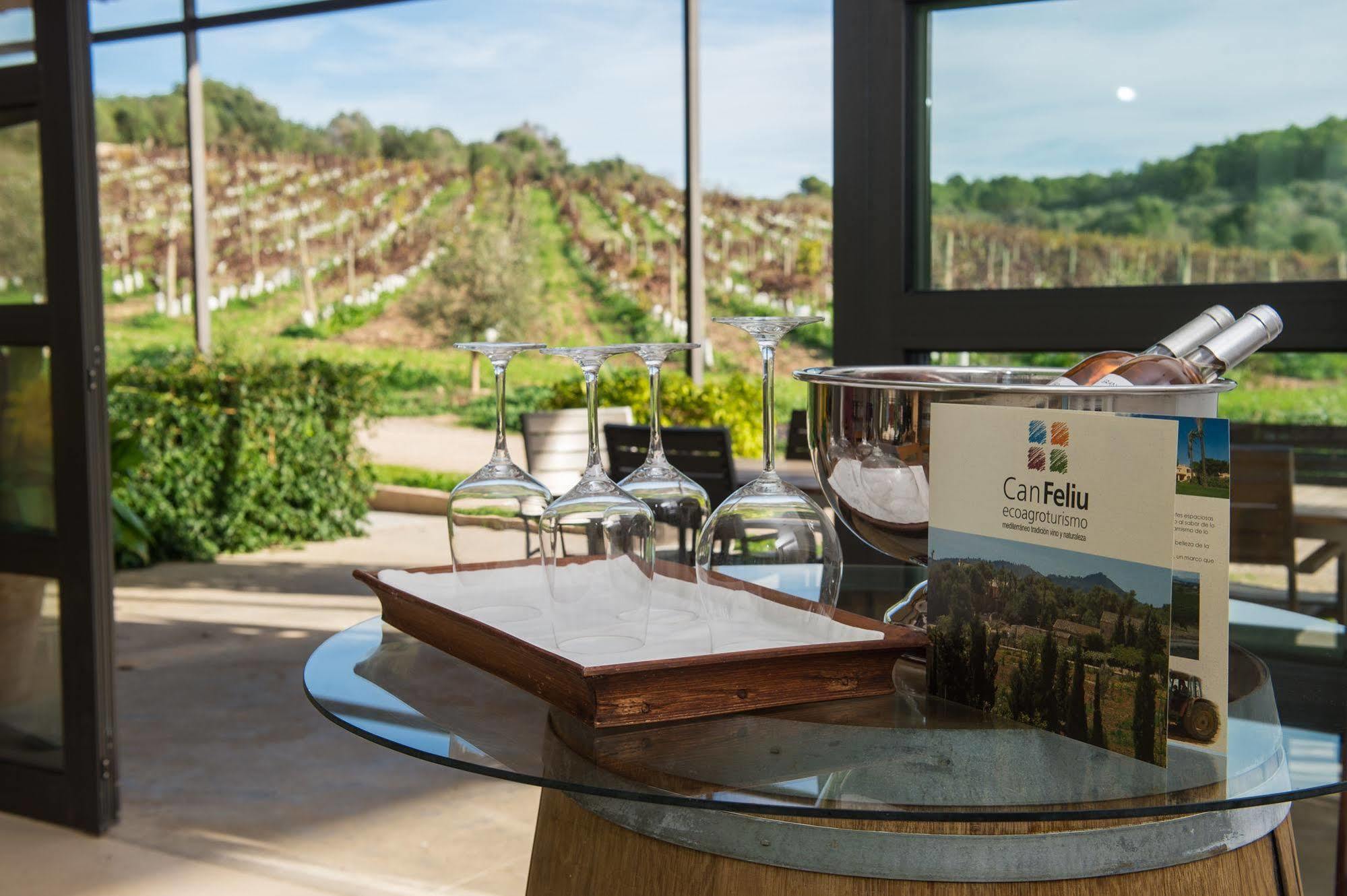 Hotel Ecoagroturismo Feliu